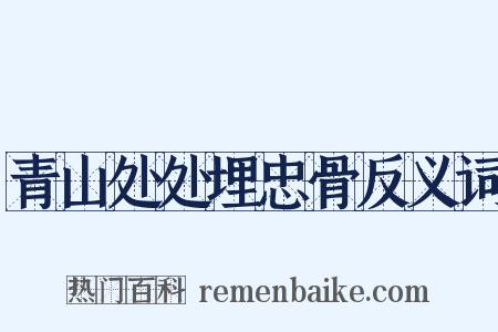 青山处处埋忠骨反义词是什么意思的图片
